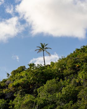 Exploring the Rich Biodiversity of the Indian Ocean